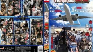 [NHDT-964] Airplane Molestation.