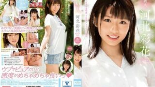 [SSNI-190] Novelty No. 1 STYLE Kawakita Ayaka AV Debut