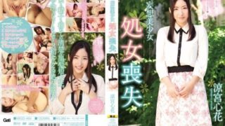 [MIGD-494] Fantasy beautiful girl virgin loss Suzumiya Kokona